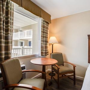 Double Room Two Double Beds